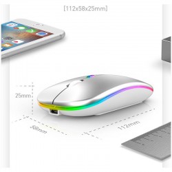 Apera BN28 Kablosuz Wireless Mouse Sessiz Tık RGB Aydınlatmalı Şarj Edilebilir (Parlak Gri)