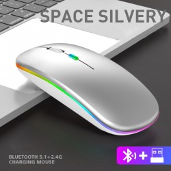 Apera BN28 Kablosuz Wireless Mouse Sessiz Tık RGB Aydınlatmalı Şarj Edilebilir (Parlak Gri)