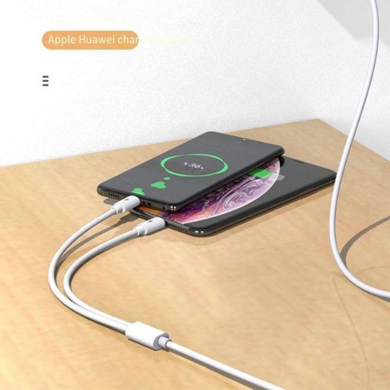 Apera BN93 iPhone Lightning ve Type-C 2in1 Kablo 5 Amper Hızlı Şarj Fast Charging