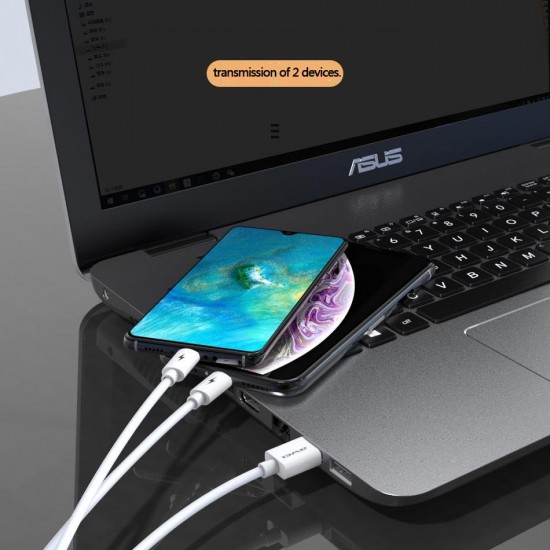 Apera BN93 iPhone Lightning ve Type-C 2in1 Kablo 5 Amper Hızlı Şarj Fast Charging